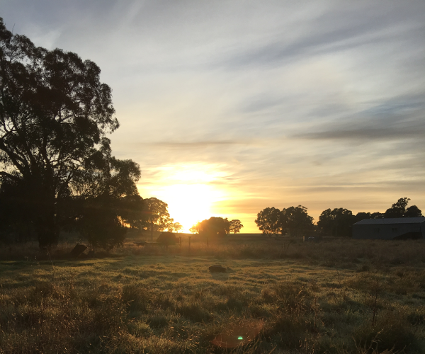 Celia Capace - Catalyst